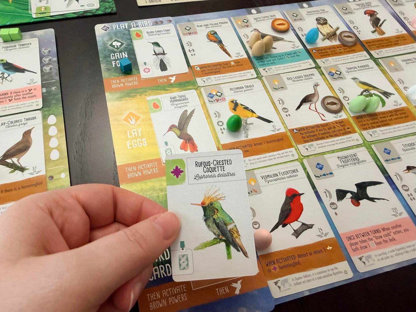 Stonemaier Games Expansión Wingspan Americas