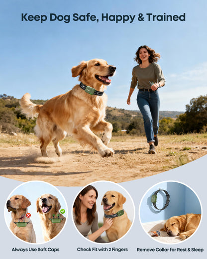 Jugbow Collar Eléctrico de Entrenamiento para Perros
