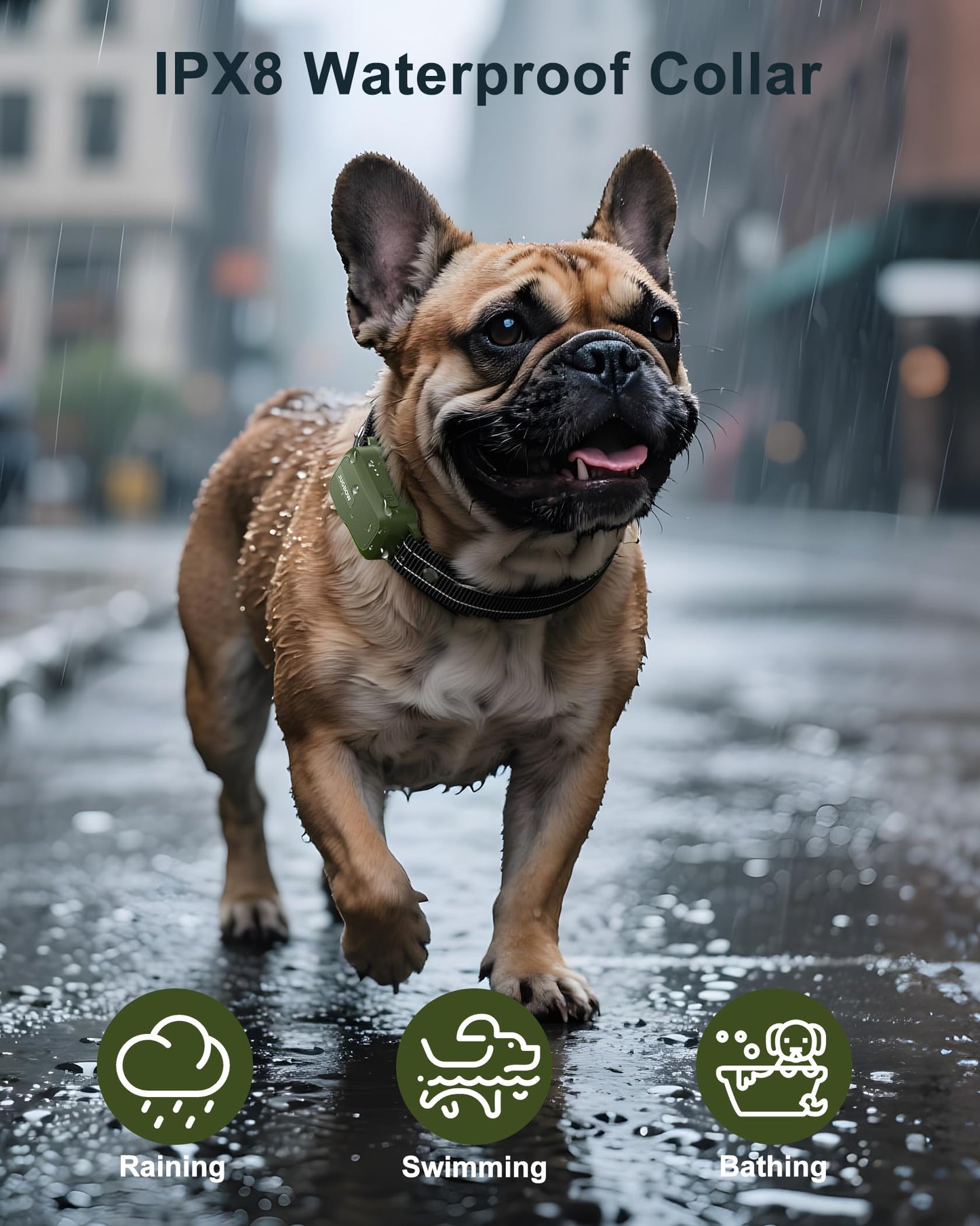 Jugbow Collar Eléctrico de Entrenamiento para Perros