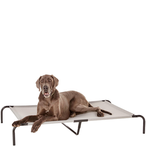 Amazon Basics Cama Elevada Transpirable para Perros (Talla XL / Gris)
