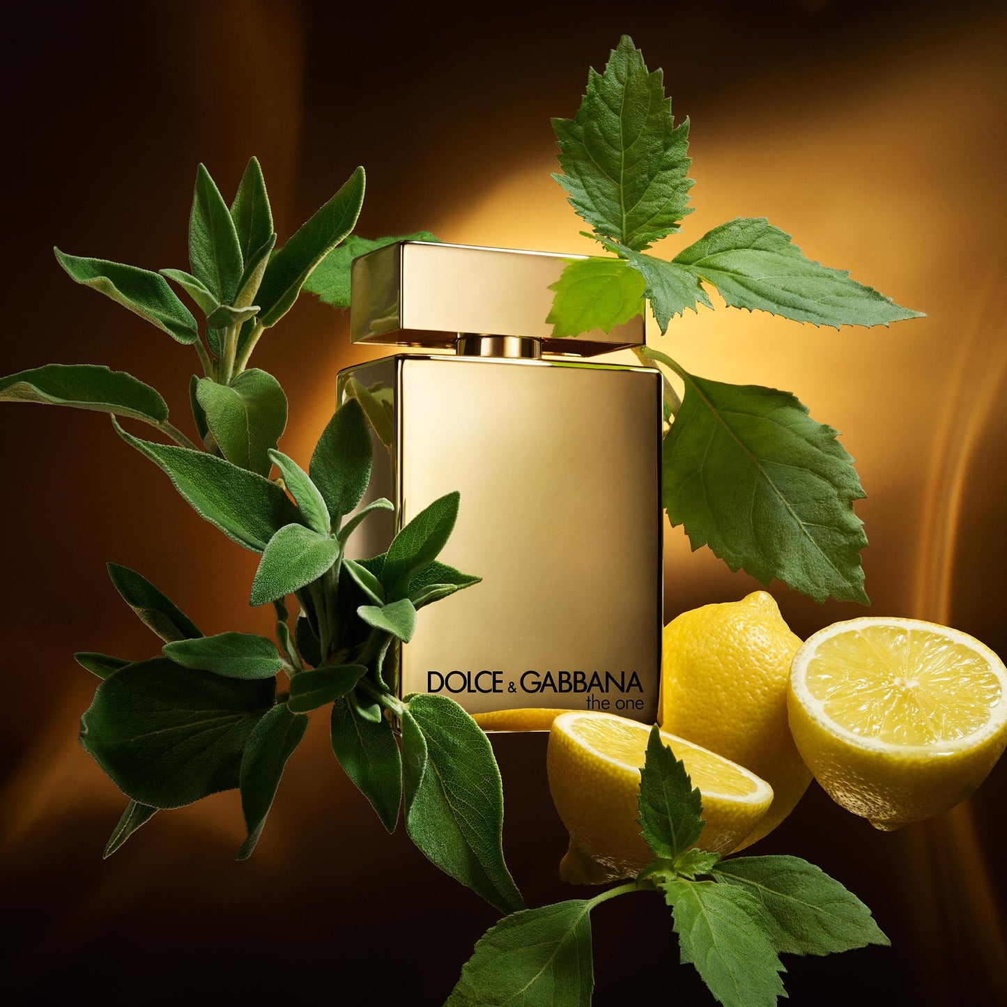 Dolce&Gabbana The One Gold para Hombre (100 ml / 3.3 fl.oz / EDP Intense)