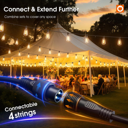 addlon Tira de Luces de Exterior Extra Larga (198FT)