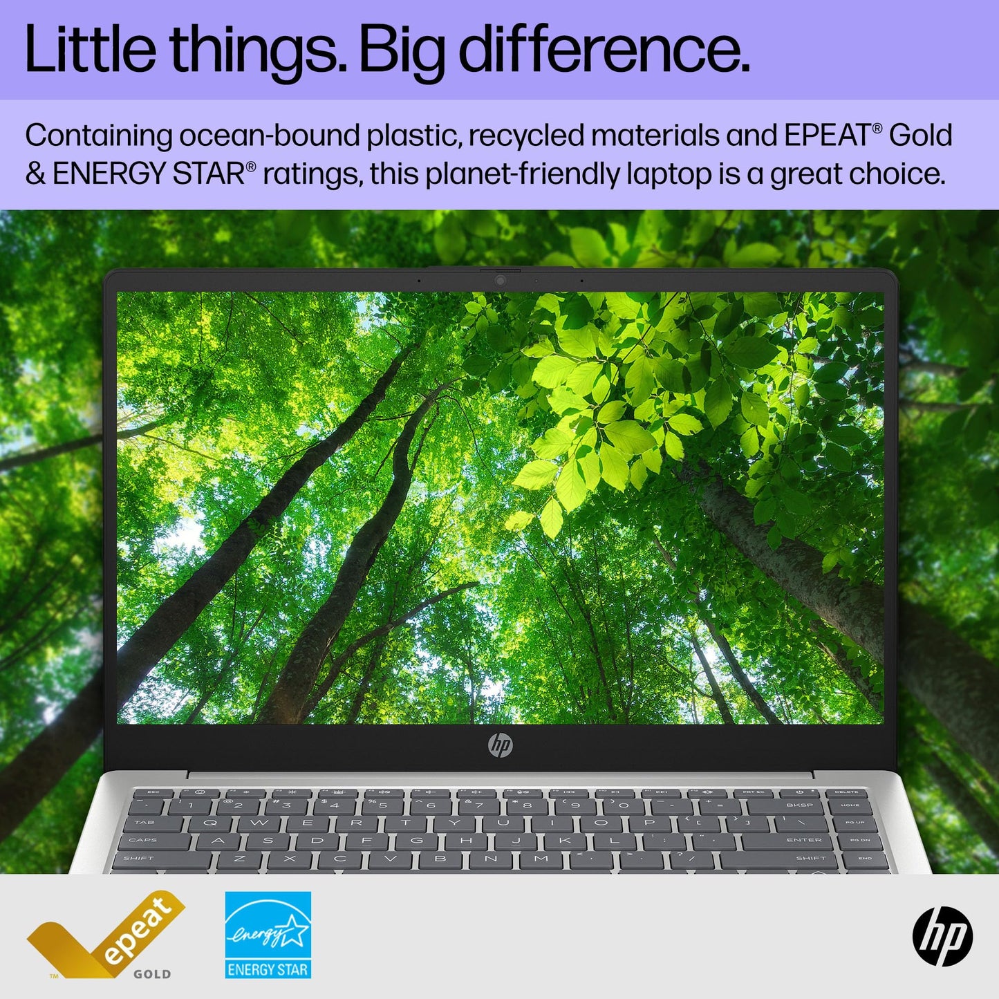 HP Laptop de 14 Pulgadas (512GB / 16GB RAM)