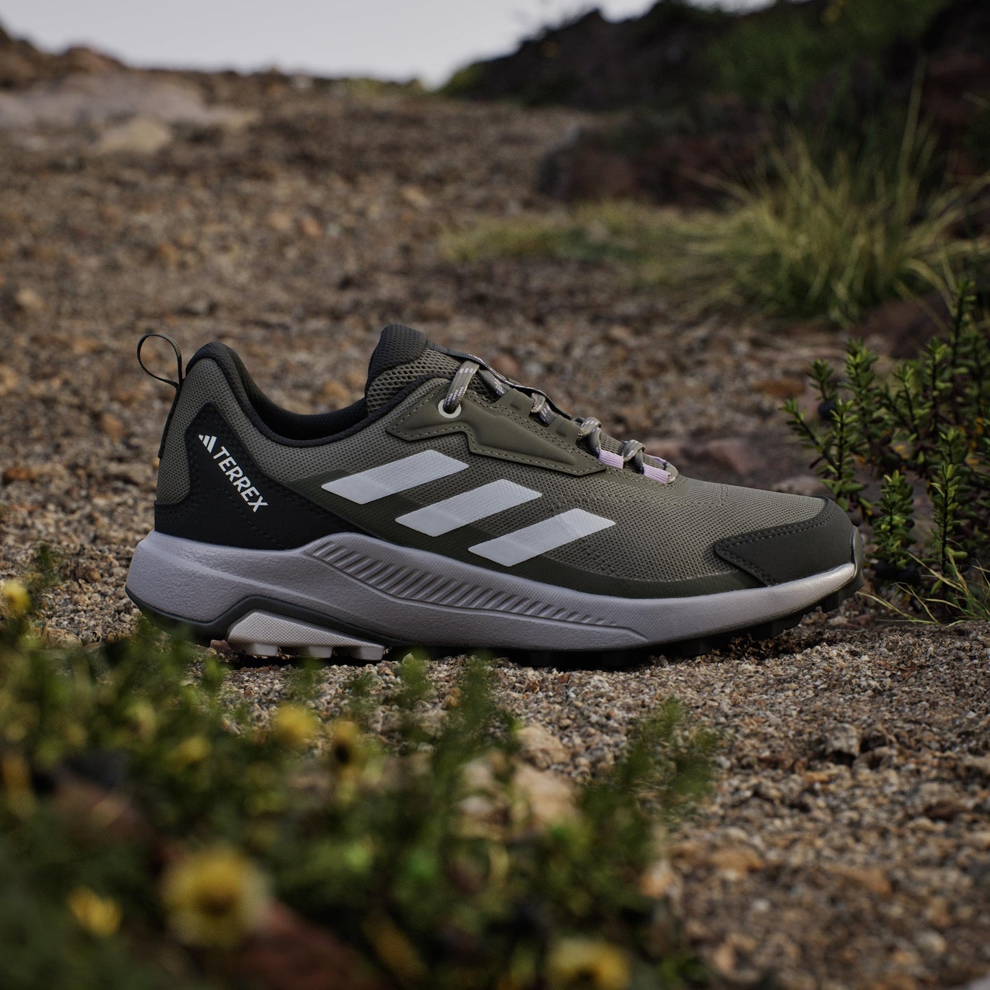Adidas Women's Terrex Anylander Hiking, Olive Strata/Dash Grey/Night Cargo