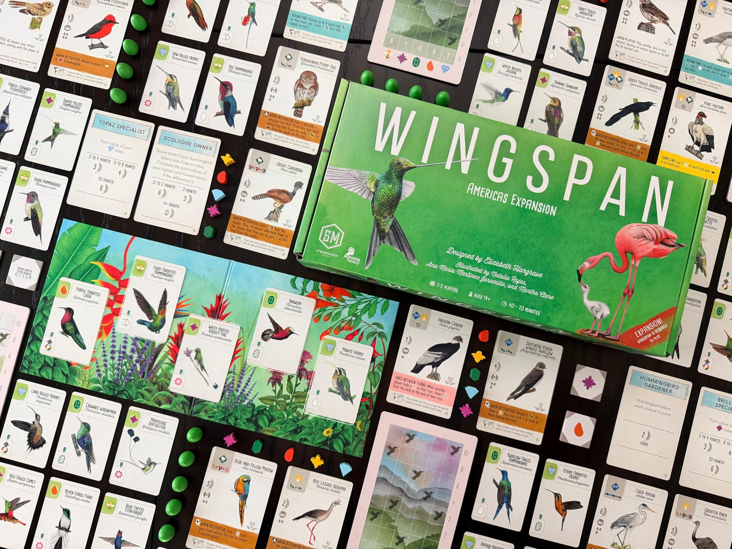 Stonemaier Games Expansión Wingspan Americas